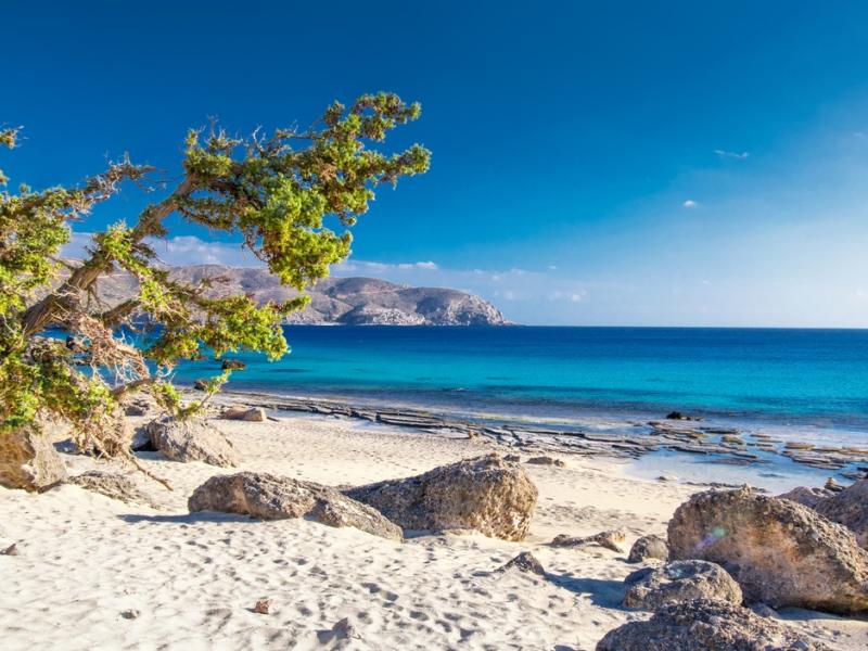 Κεδρόδασος