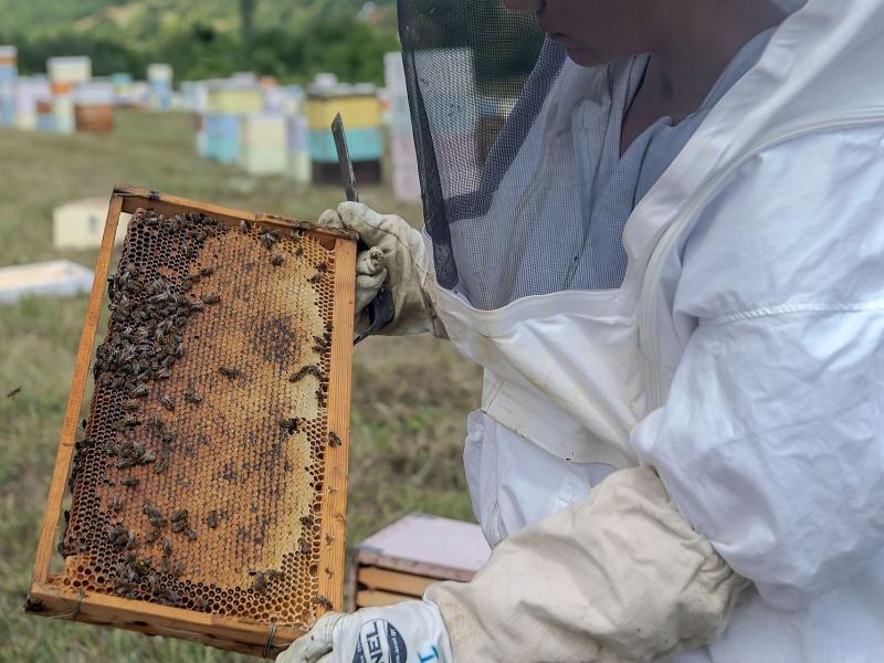 ΟΠΕΚΕΠΕ ΜΕΛΙ