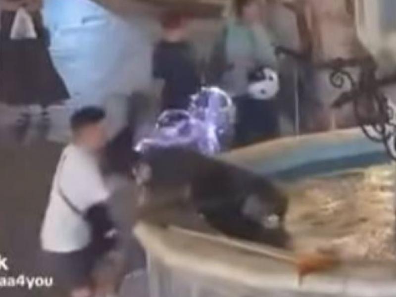 Ρόδος – Ασύλληπτο περιστατικό βίας: Νεαρός έσπρωξε άστεγο σε σιντριβάνι «για πλάκα»