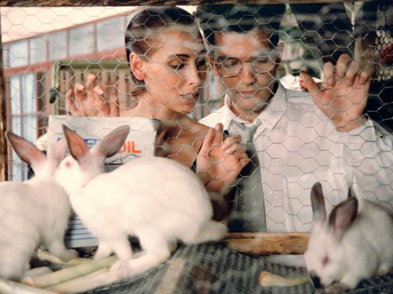 Γυναίκες στα Πρόθυρα Νευρικής Κρίσης – Ο Αλμοδόβαρ στα καλύτερά του