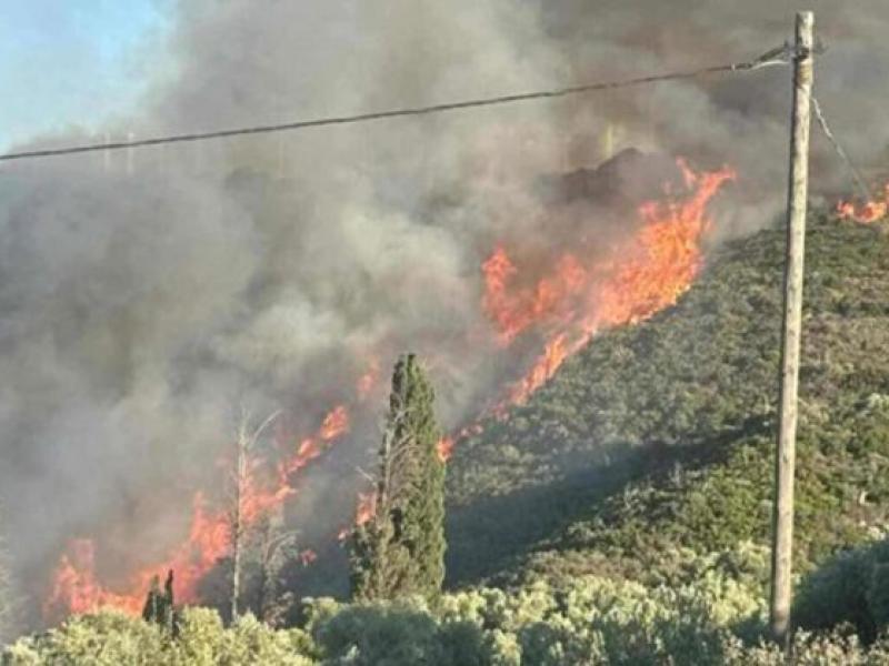 Φωτιά στην Εύβοια 