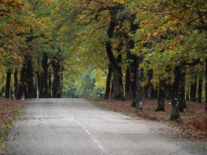 Το ελληνικό «θαύμα» της φύσης που δεν υπάρχει πουθενά στα Βαλκάνια