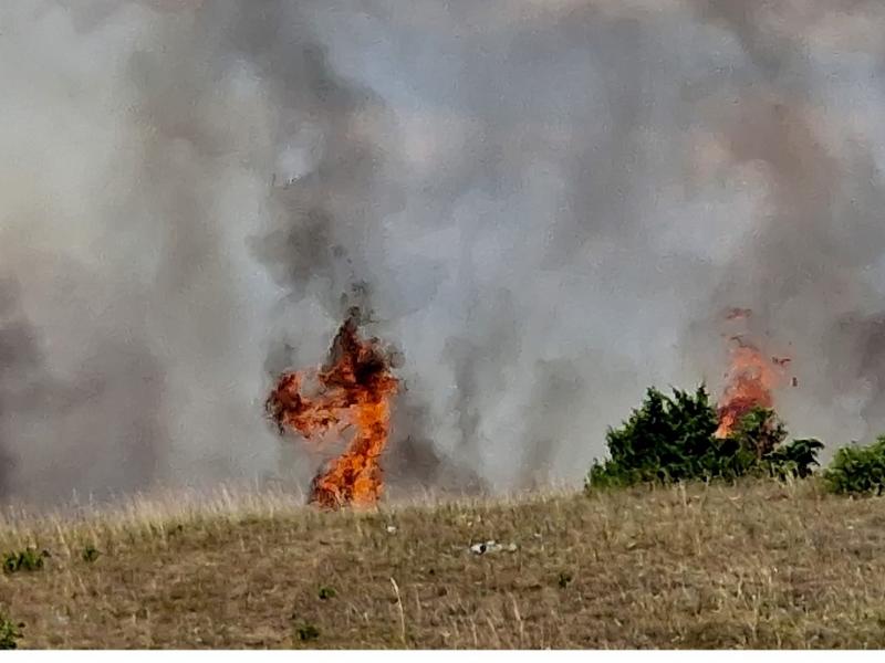 Φωτιά στην Κοζάνη