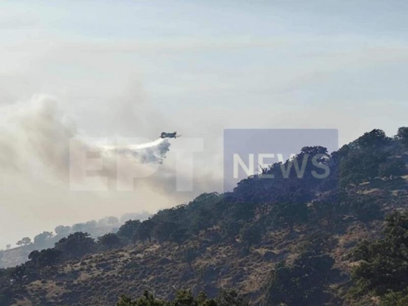 Πυρκαγιά στο Σκαλοχώρι της Λέσβου