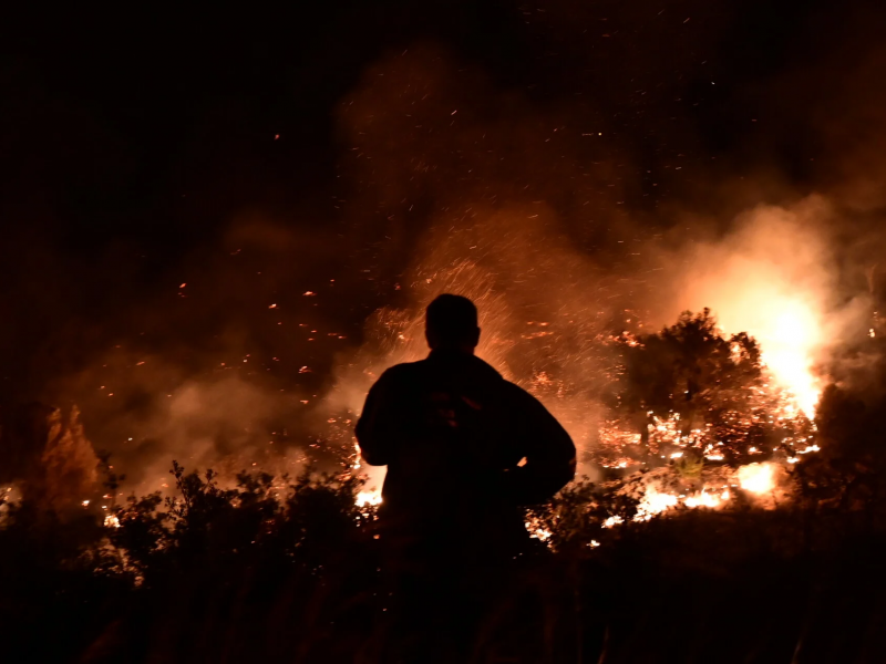 Στην Ελλάδα πέρασε η φωτιά από την Αλβανία – Μάχη με τις φλόγες στη Θεσπρωτία