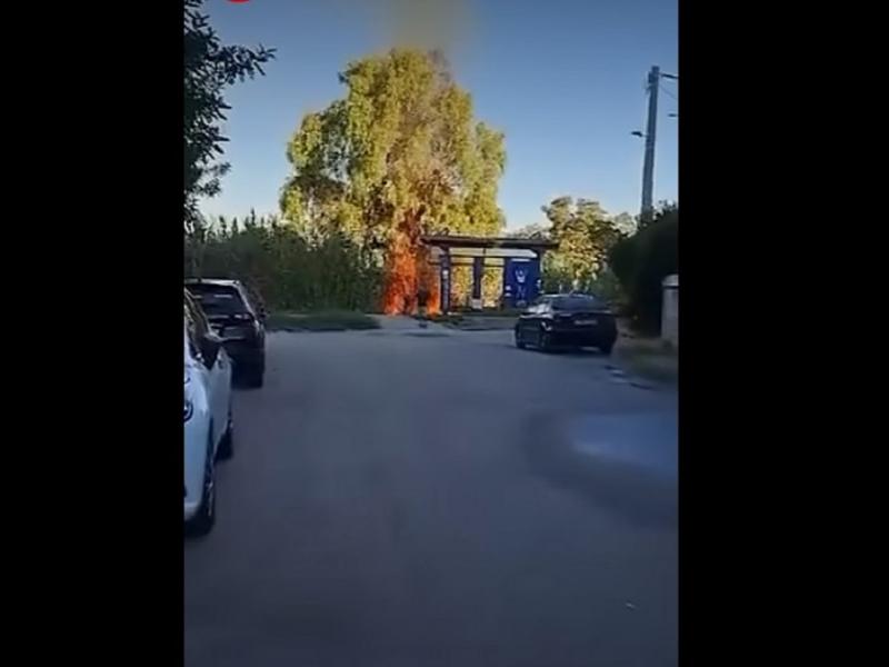 Συναγερμός στην Πάτρα: Φωτιά δίπλα στις γραμμές του Προαστιακού