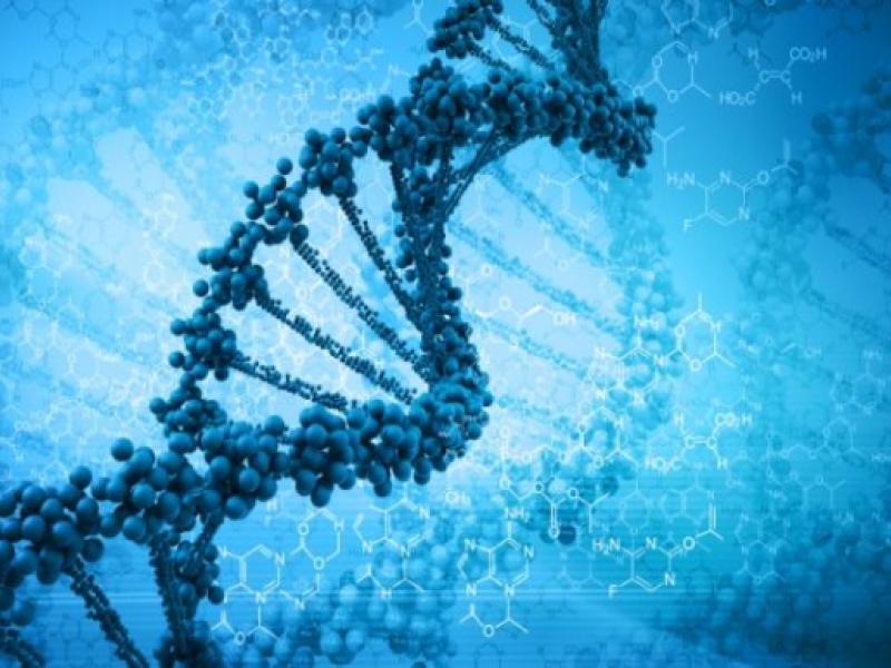 ΑΠΘ: Γνωριμία μαθητών με την επιστήμη της Βιολογίας με αφορμή την παγκόσμια ημέρα DNA (25 Απριλίου) 