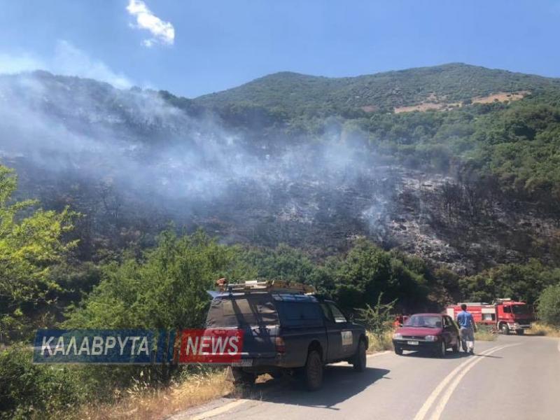 καλαβρυτα φωτια