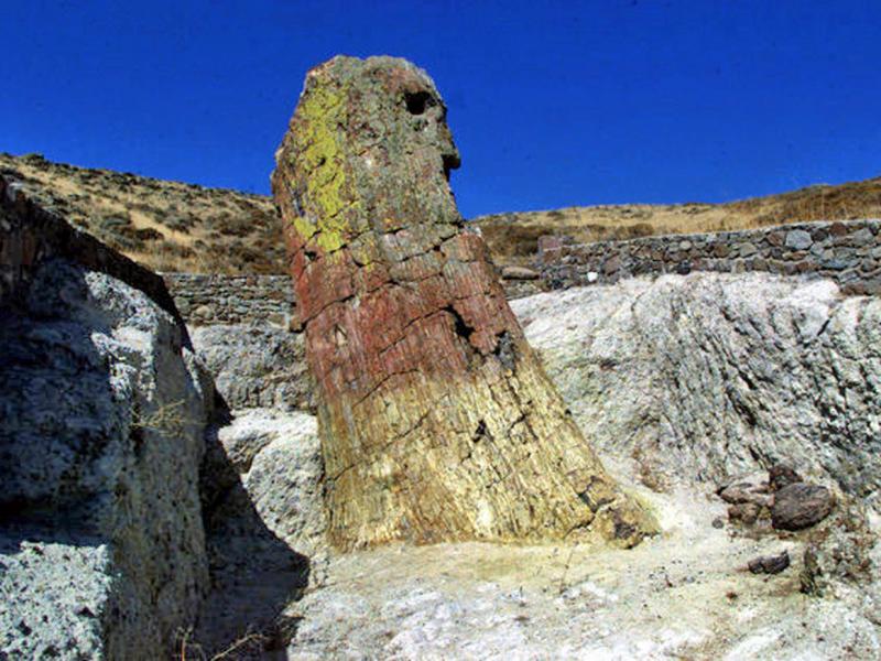 ΑΠΟΛΙΘΩΜΕΝΟ ΔΑΣΟς ΛΕΣΒΟς