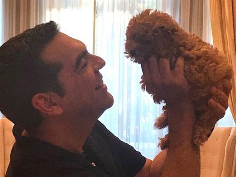 Τσίπρας κουτάβι