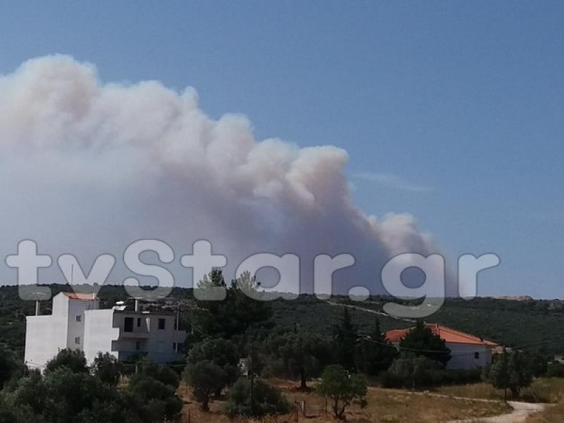 φωτια ευβοια