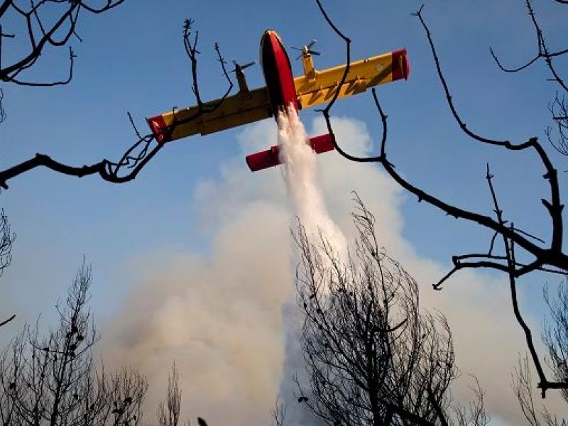 Πυρκαγιά ξέσπασε τη νύχτα σε πυκνόφυτη και πευκόφυτη δασώδη περιοχή στην Αγριλίτσα Ευβοίας.