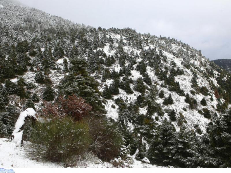 Δερβενοχώρια: Αγνοείται 27χρονος που είχε εγκλωβιστεί στα χιόνια