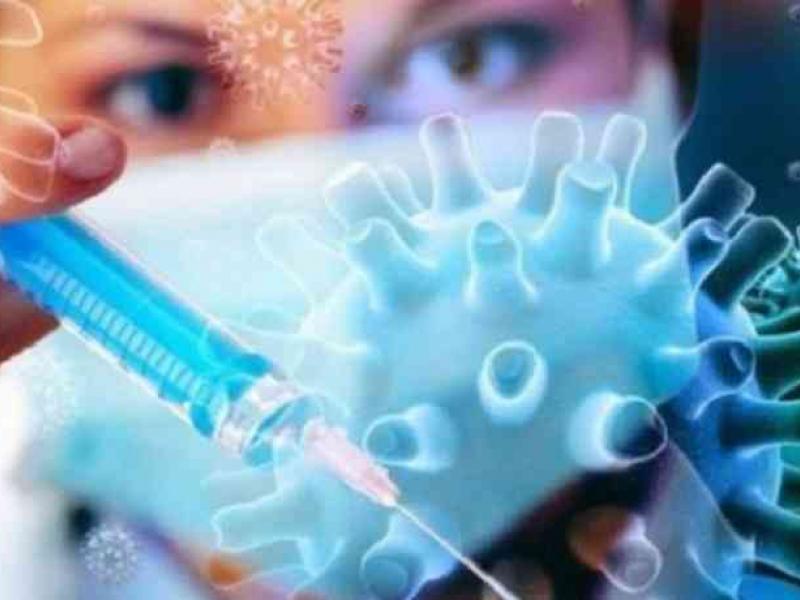 Γρίπη των πτηνών: Απειλή για τη δημόσια υγεία ή ύποπτος κίνδυνος για άνθρωπο;