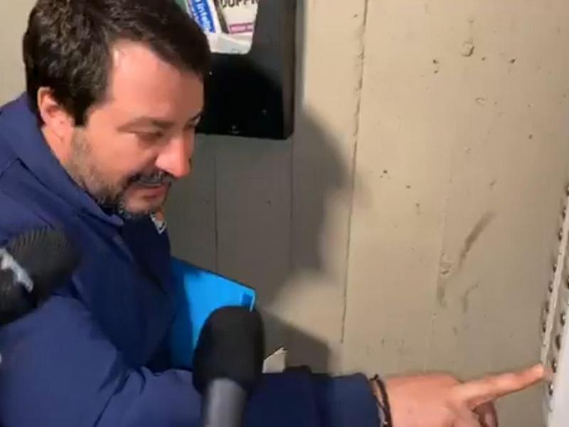 salvini