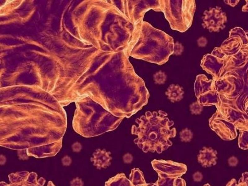 Έρευνα: Ένας στους τρεις πιστεύει ότι ο κορονοϊός δεν κολλάει με τη Θεία Κοινωνία