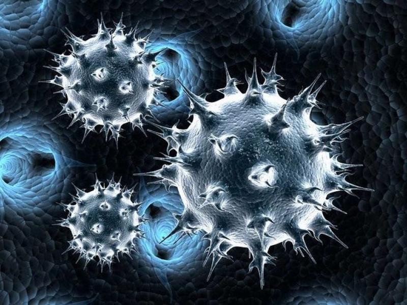 Καταγγελία: Θλιβερές αυθαιρεσίες και αγνόηση κανόνων υγιεινής σε εταιρεία;