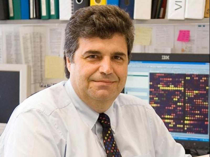 Dimitris Kafetzopoulos ite