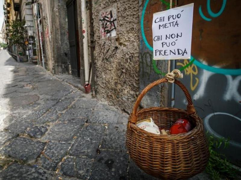 kalathia allileggiis