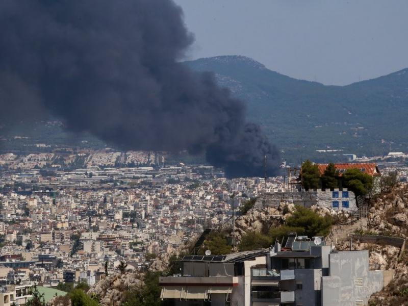 pyrkagia metamorfosi