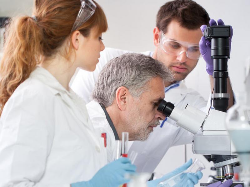 Επιστήμη: Οι 11 Έλληνες πανεπιστημιακοί με τη μεγαλύτερη παγκόσμια επιρροή