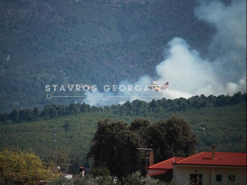 fotia xiliomodi kentriki