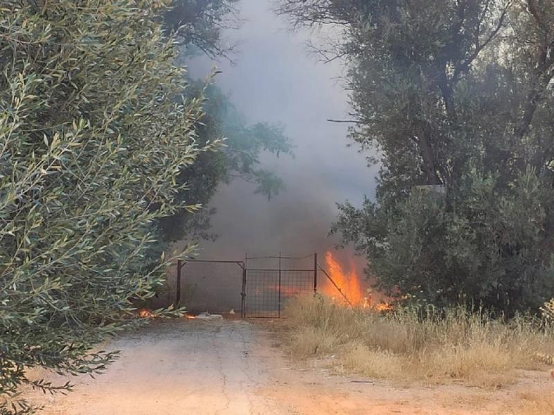 Φωτιά στην Κηφισιά: Σε αυλές σπιτιών οι φλόγες