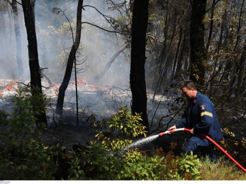 Χαλκίδα: Ανήλικος προκάλεσε πυρκαγιά στο Λευκαντί – Εντοπίστηκαν υπολείμματα βεγγαλικών
