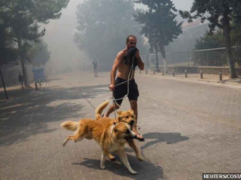 Φωτιά στην Αττική: Χωρίς τέλος η μάχη με τις αναζωπυρώσεις 