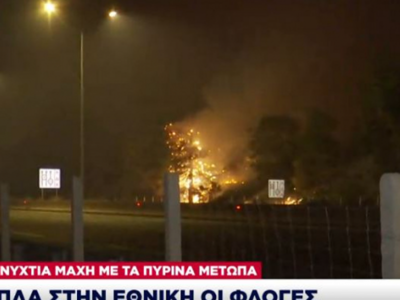 Φωτια στην Αττική: Κινείται προς Ωρωπό η φωτιά- Εκκενώνονται περιοχές