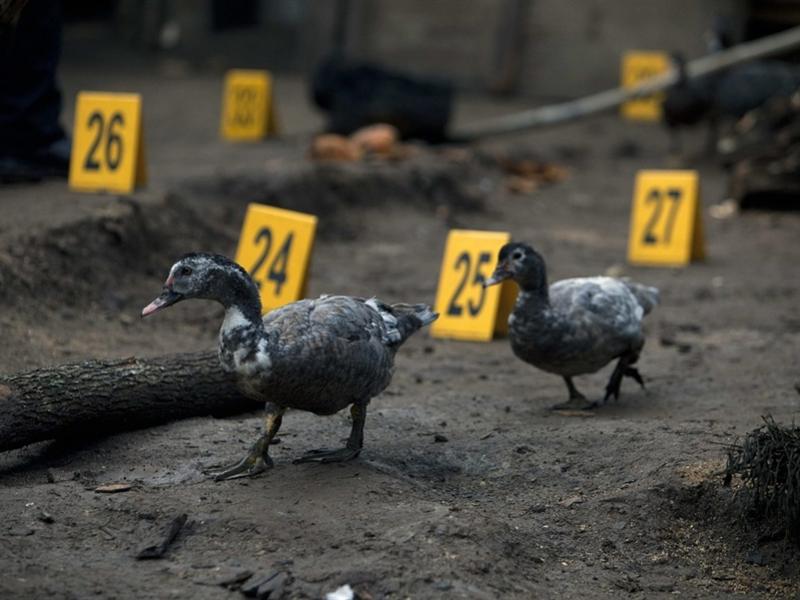 121009-guatemala-murder-12p-03.photoblog900.jpg
