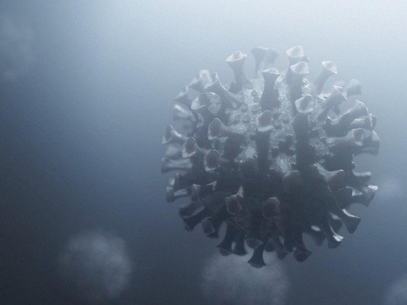 κορονοιος - ομικρον.jpg