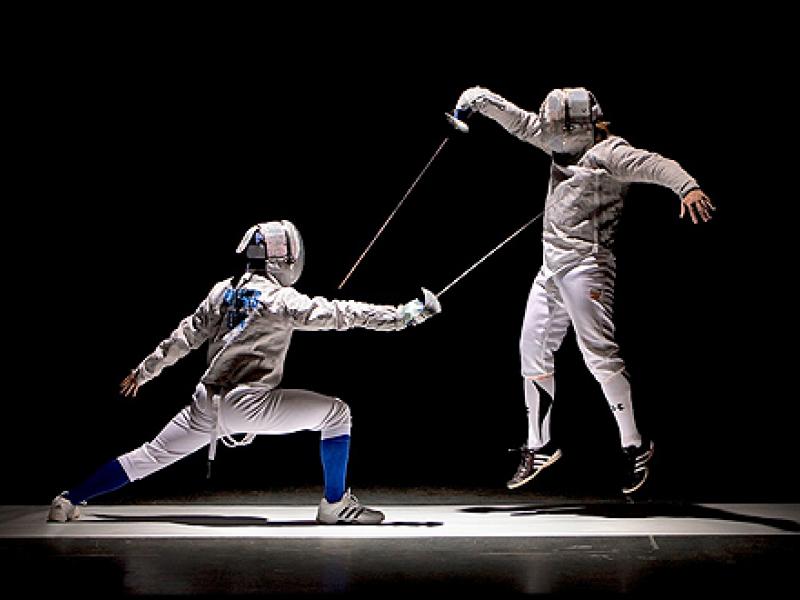 fencing-oaka.jpg