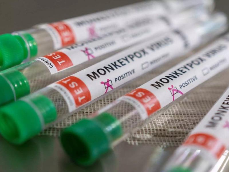 ΕΥΛΟΓΙΑ ΠΙΘΗΚΩΝ.jpg