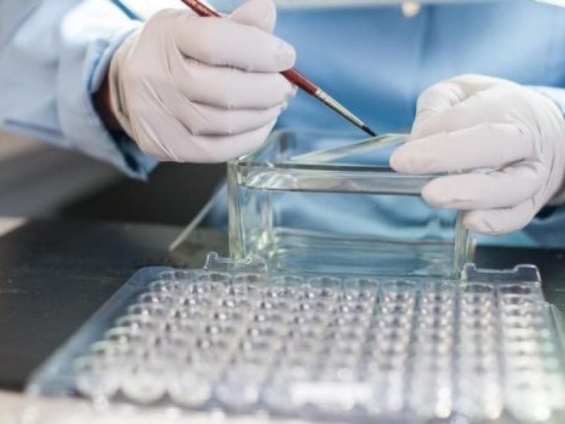 ΙΑΤΡΙΚΕΣ ΕΞΕΤΑΣΕΙΣ.jpg