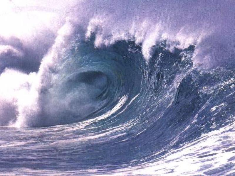 tsunami3.jpg