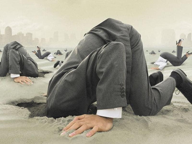 ΣΤΡΟΥΘΟΚΑΜΗΛΙΖΩ