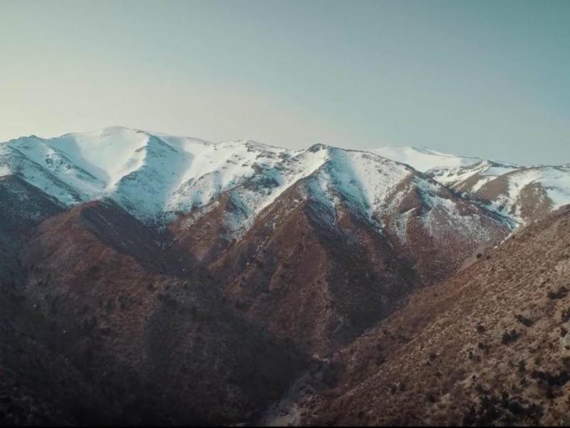 Ψηλορείτης