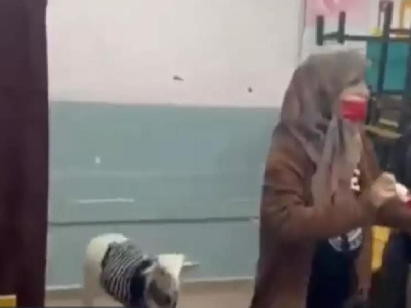 Πήγε να ψηφίσει με το αρνί της στην Τουρκία