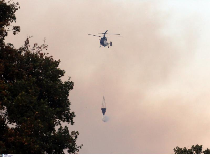 φωτιά Αλεξανδρούπολη