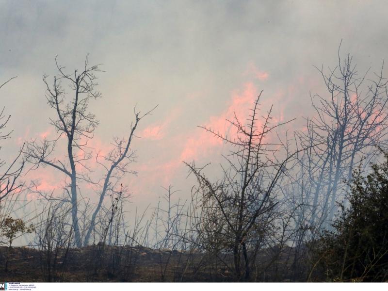 Φωτιά στον Έβρο