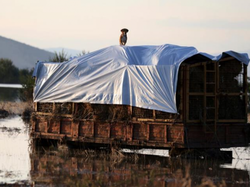κακοκαιρία Καρδίτσα