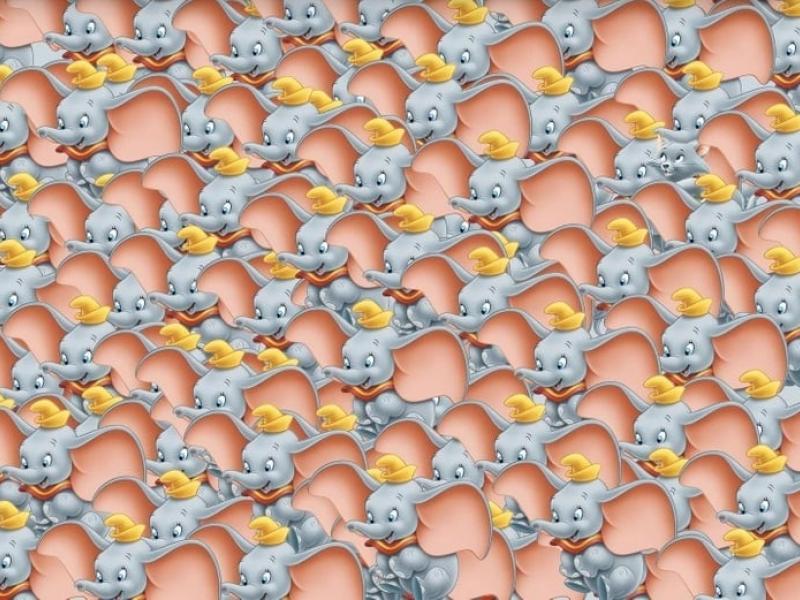 Οφθαλμαπάτη με Αριστόγατες