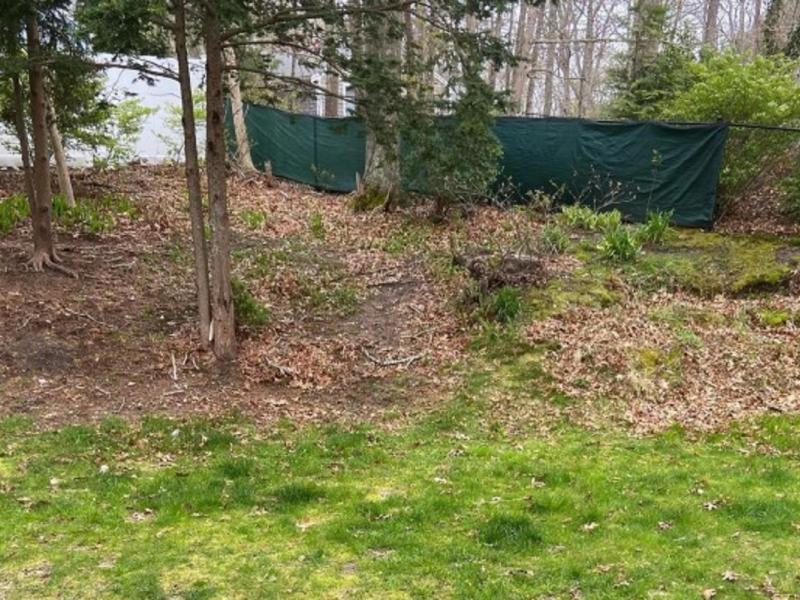 Οφθαλμαπάτη με σκύλο