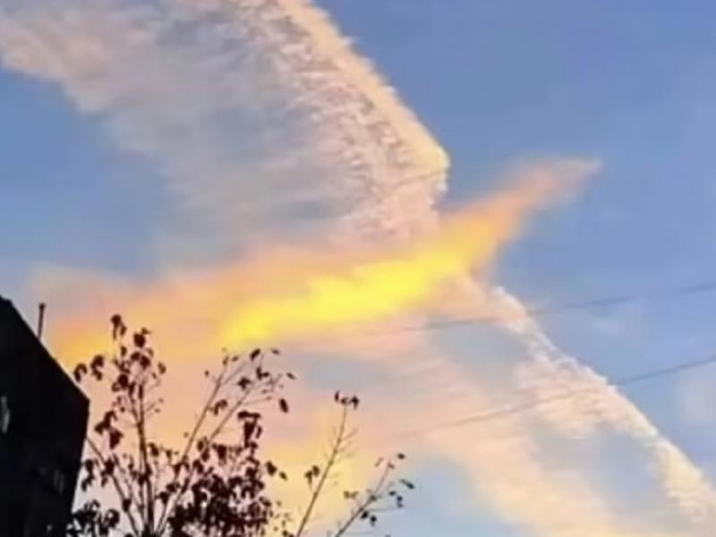 Οφθαλμαπάτη με πουλί