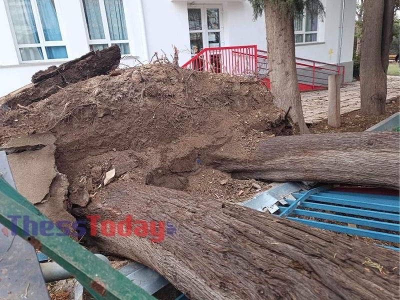 κακοκαιρια