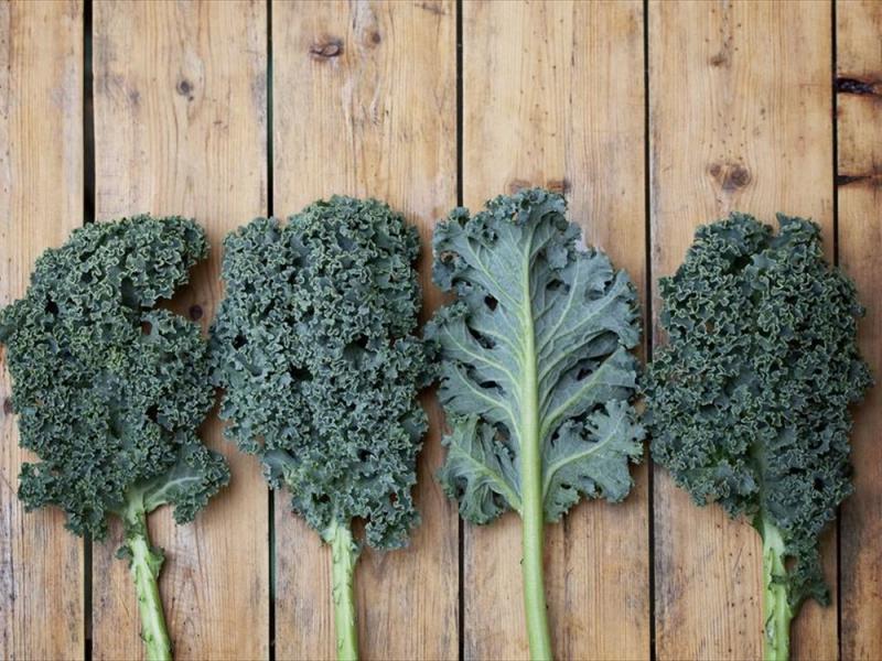 Κατσαρό λάχανο