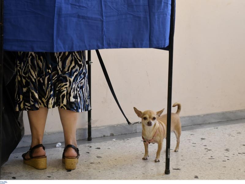 Ψηφοφόρος με σκύλο