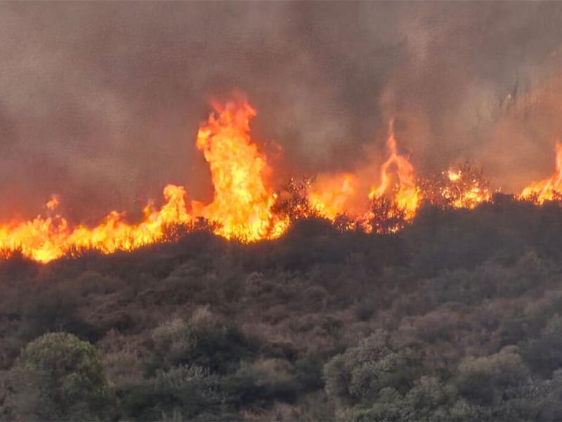 Φωτιά στην Εύβοια