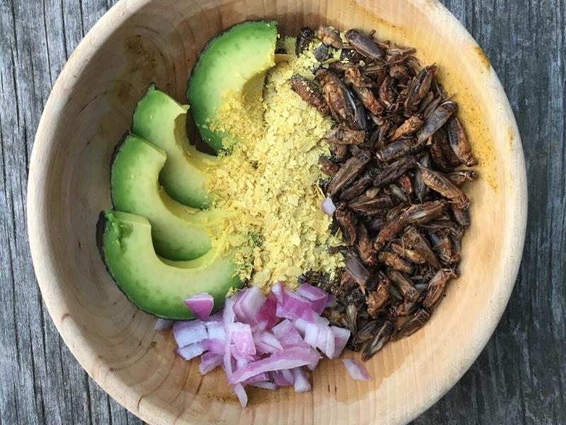 Γρύλοι στη σαλάτα